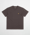 Carhartt Chase T-Shirt in Shale and Gold