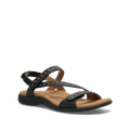 Hero Image of Dazzle Black 10
