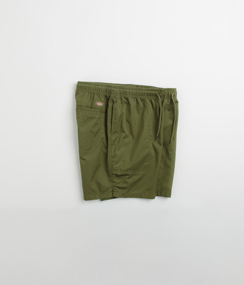 Dickies Pelican Rapids Shorts in Cypress