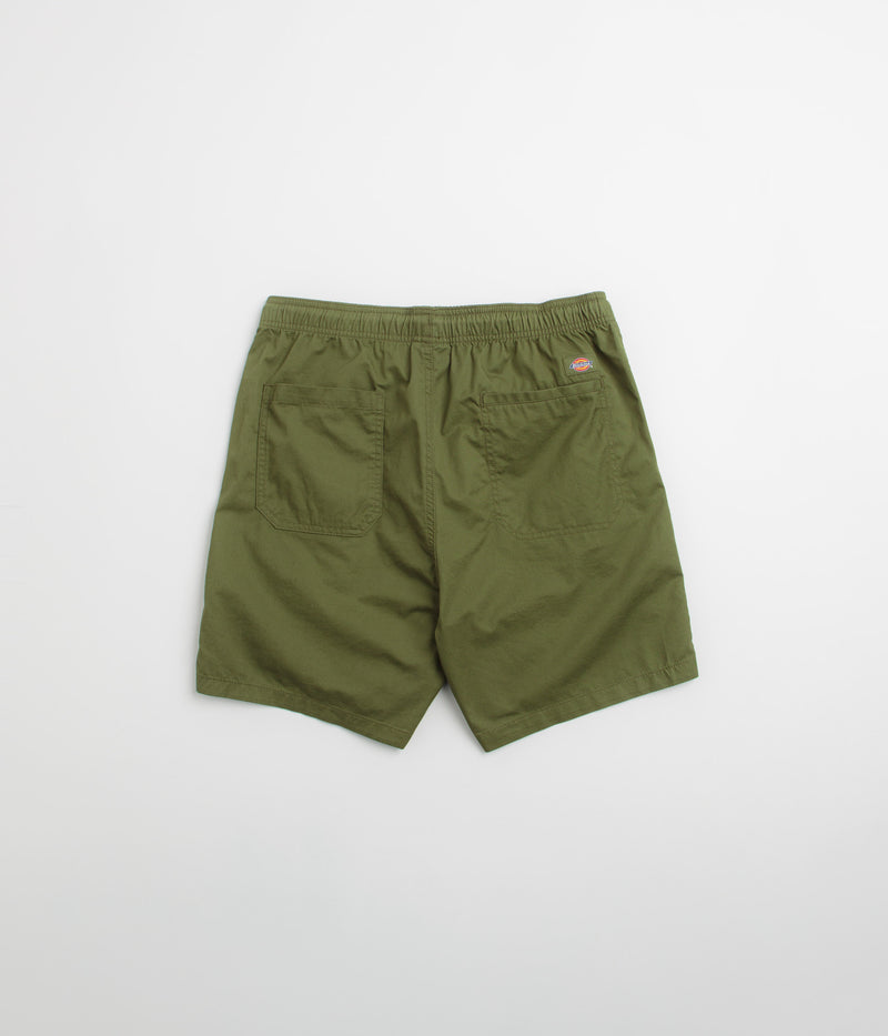Dickies Pelican Rapids Shorts in Cypress