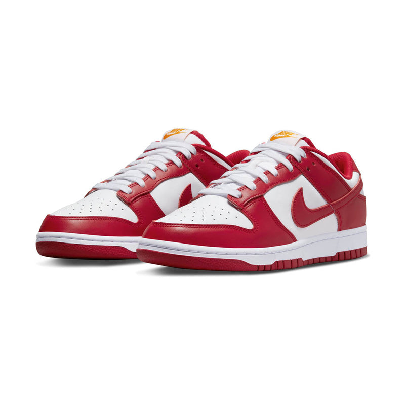 Dunk Low Retro Men's Shoes