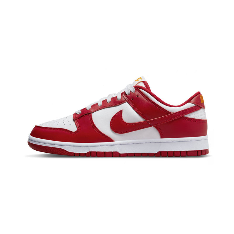 Dunk Low Retro Men's Shoes