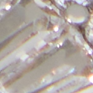 Iconhalo
