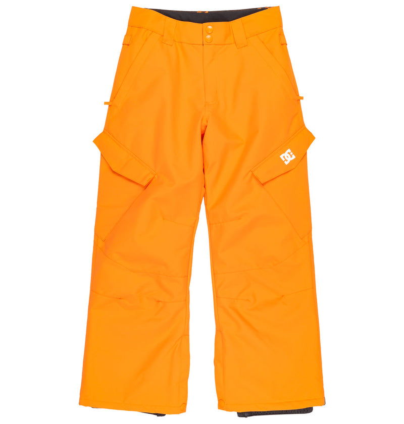 Kids' Banshee Insulated Pants - DC Shoes