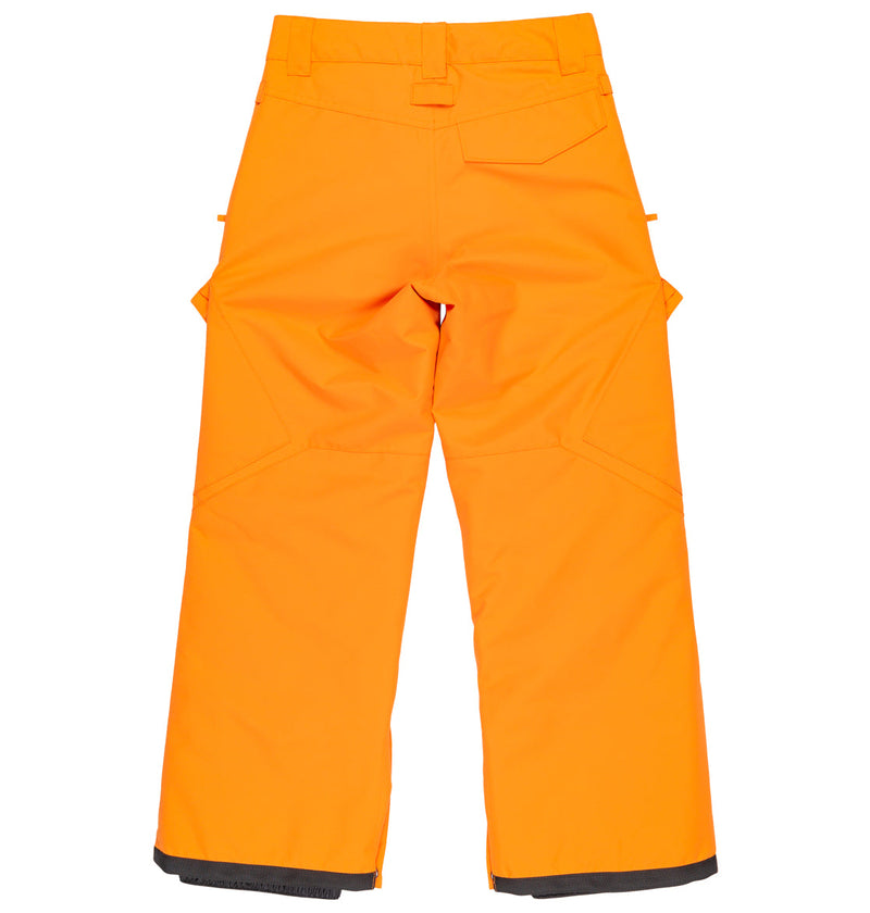 Kids' Banshee Insulated Pants - DC Shoes