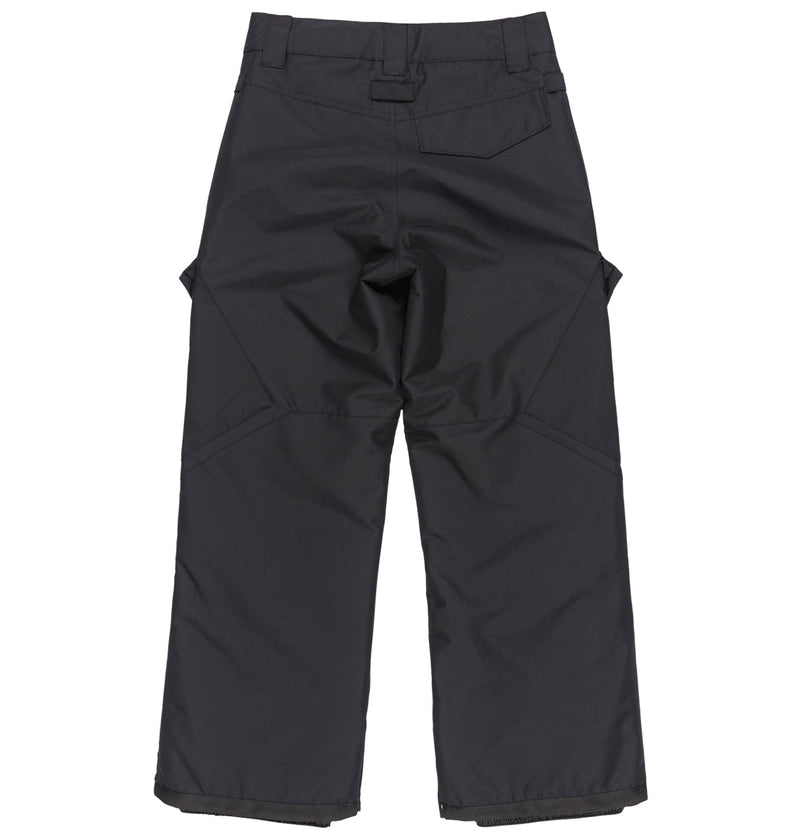 Kids' Banshee Snow Pants - DC Shoes