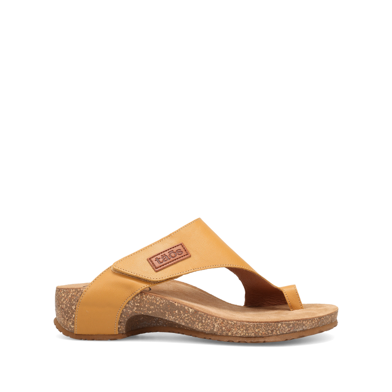 Outside Image of Loop Maize 11