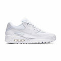 Men's Air Max '90 Essential Shoe