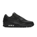 Men's Air Max '90 Essential Shoe