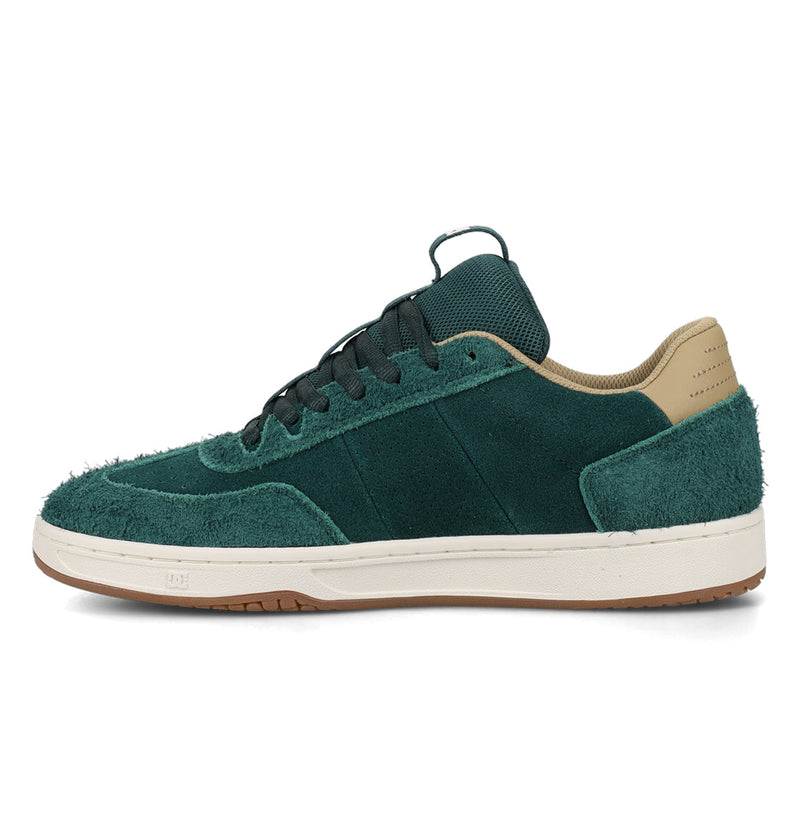 Men's Astrix Special Edition Shoes - DC Shoes