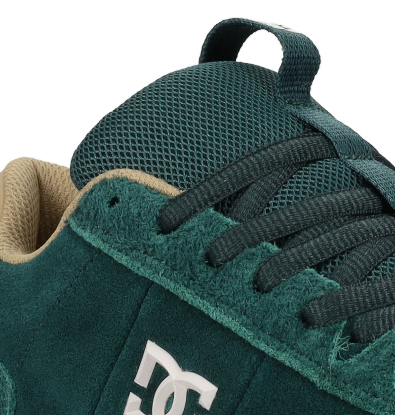 Men's Astrix Special Edition Shoes - DC Shoes