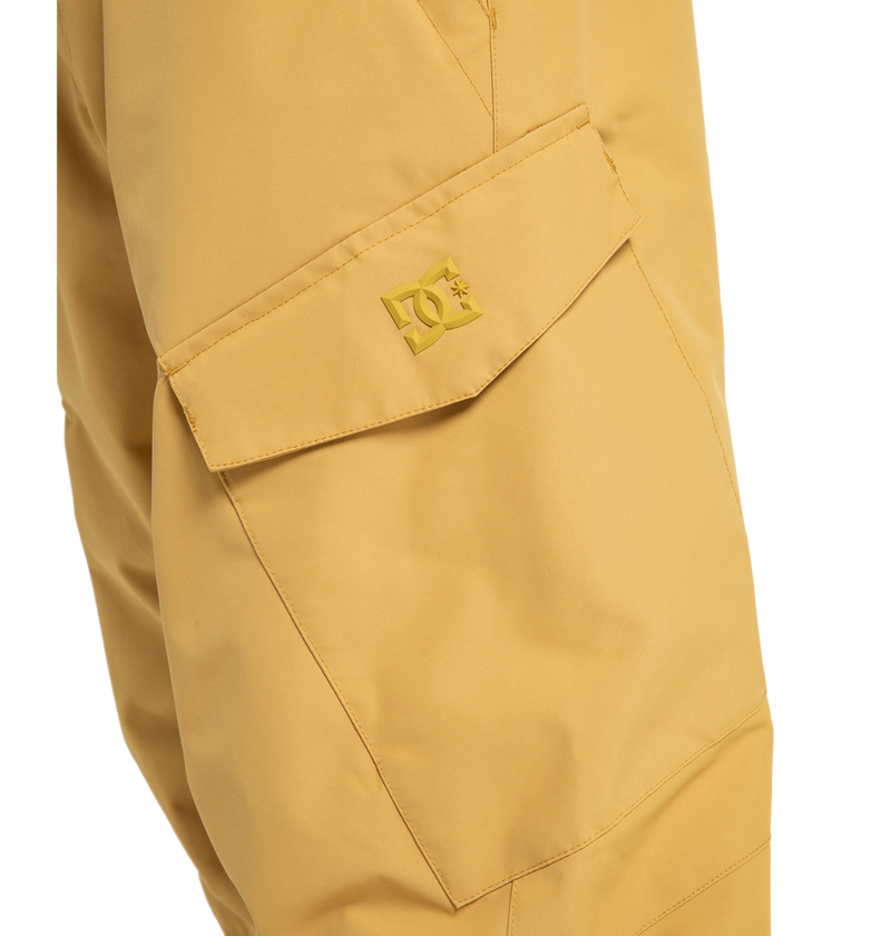 Men's Banshee Insulated Pants - DC Shoes