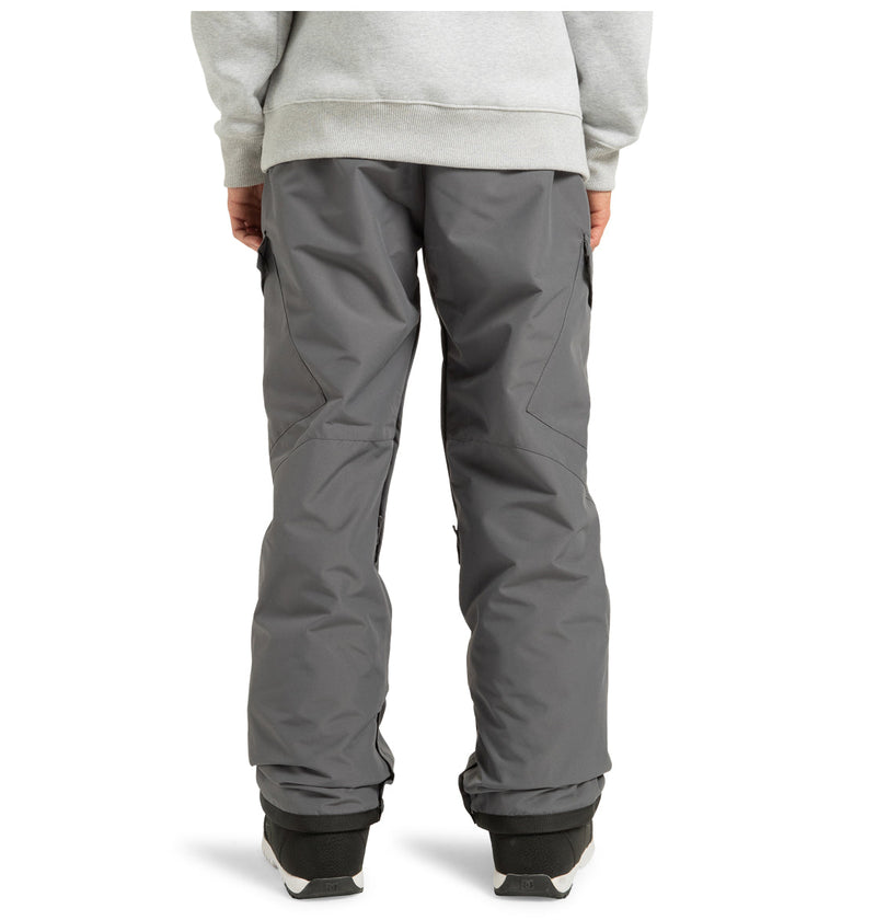 Men's Banshee Insulated Pants - DC Shoes