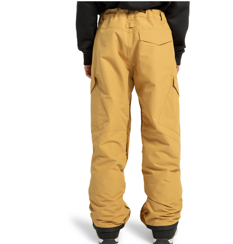 Men's Banshee Insulated Pants - DC Shoes