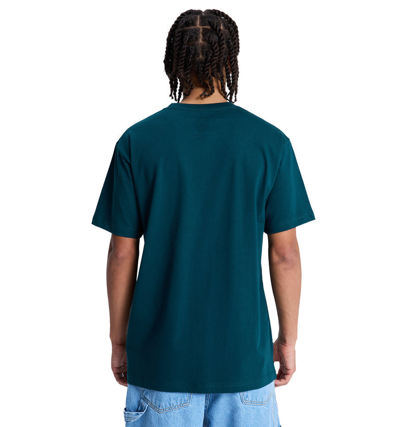 A person with braided hair stands with their back to the camera, wearing a Reebok DC Star Hss dark teal short-sleeve t-shirt and light blue denim shorts against a white background.