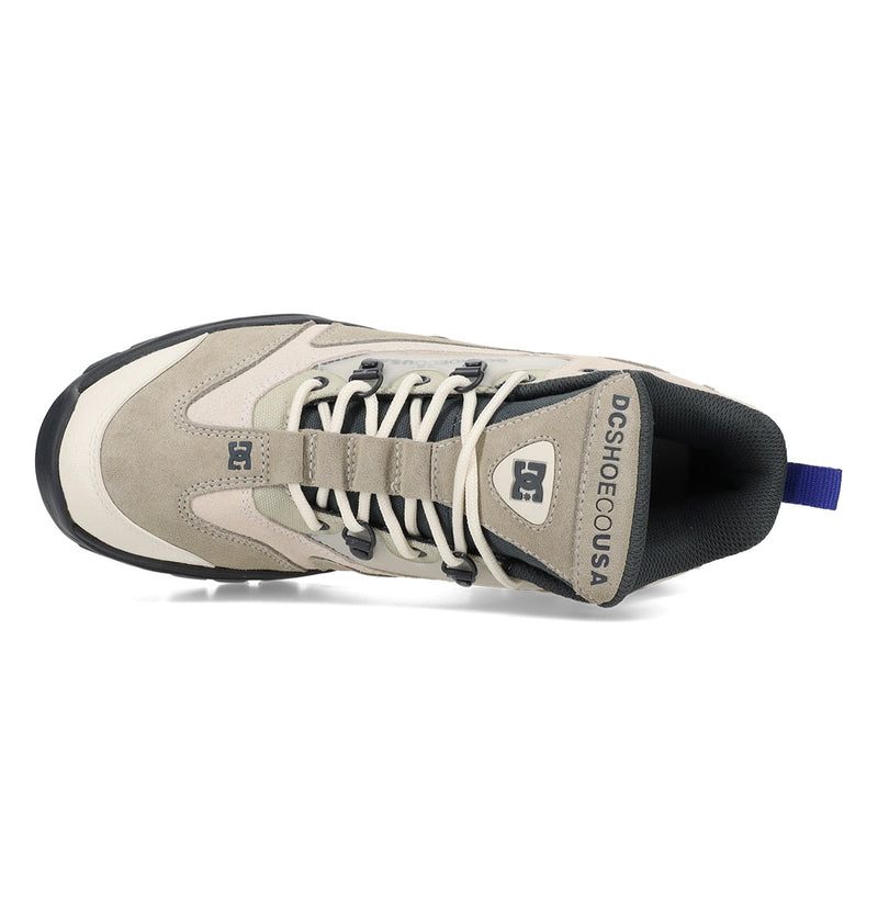 Men's Recon Shanahan Shoes - DC Shoes