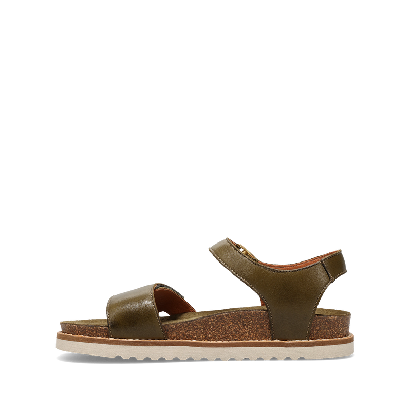Instep image of Modern Avocado 39