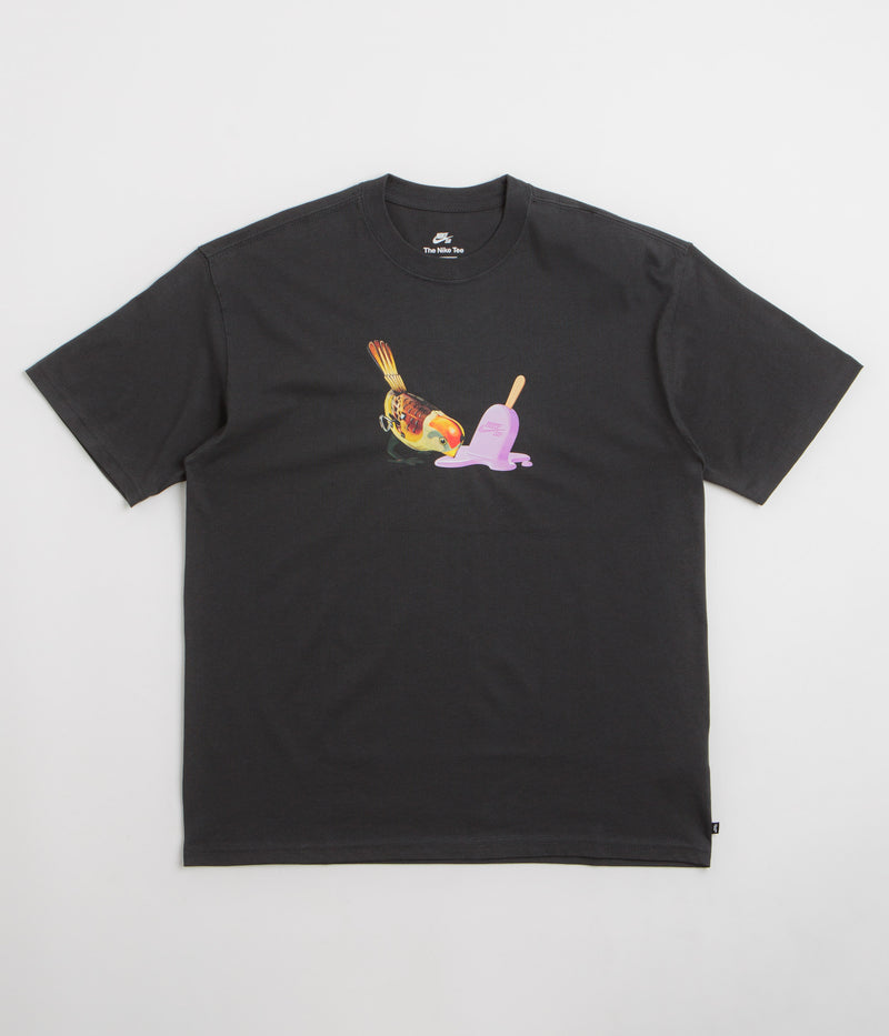 Nike SB Ice Cream T-Shirt in Off Noir