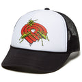 Powell-Peralta Mesh Ants Hat