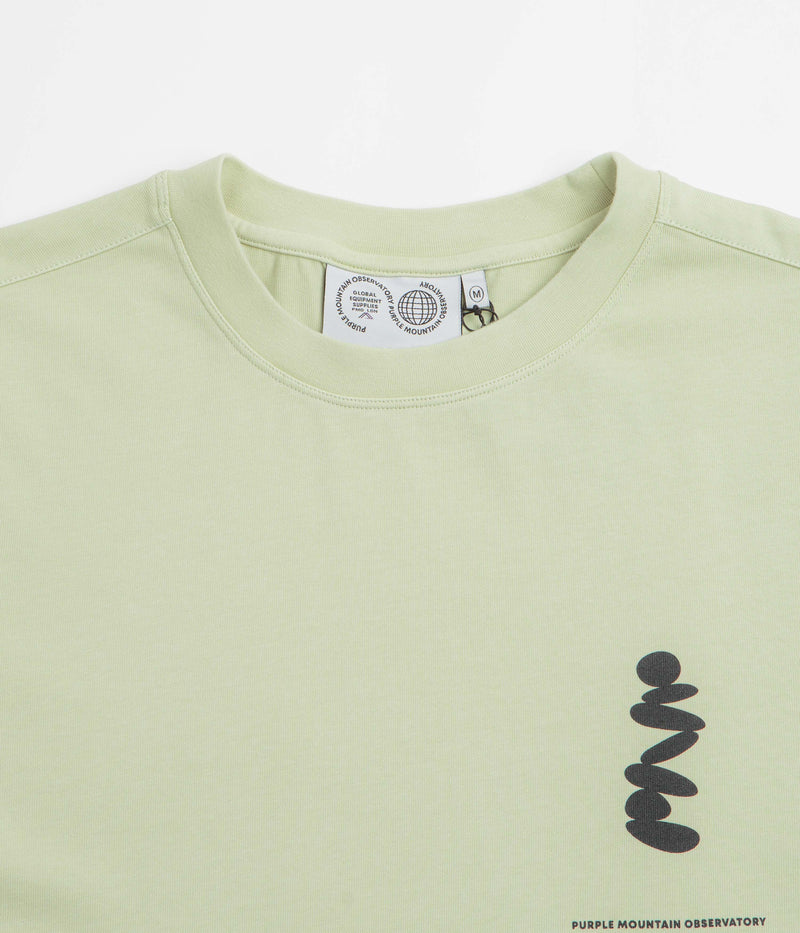 Purple Mountain Observatory Boulders T-Shirt in Sage