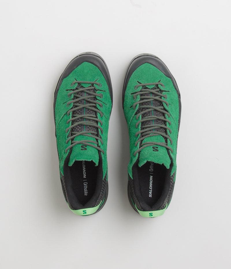 Salomon X-ALP Suede Shoes in Black and Parakeet / Patina Green