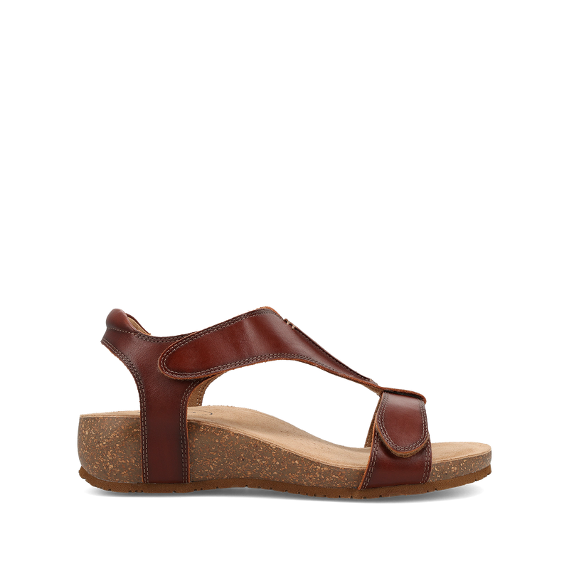 Outside image of Showtime Cognac 39