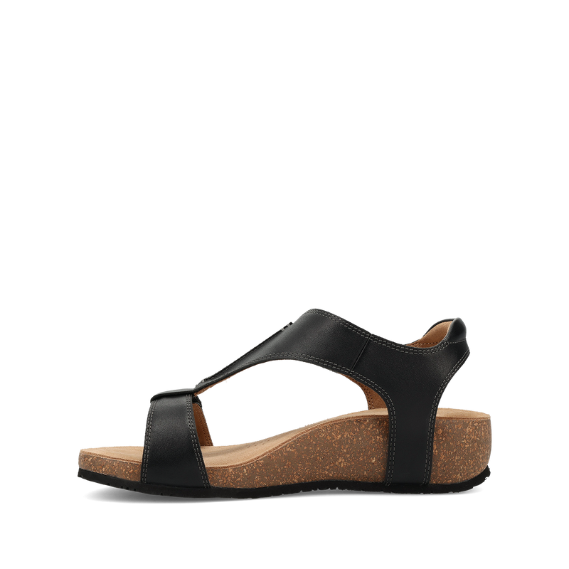 Instep image of Showtime Black 37