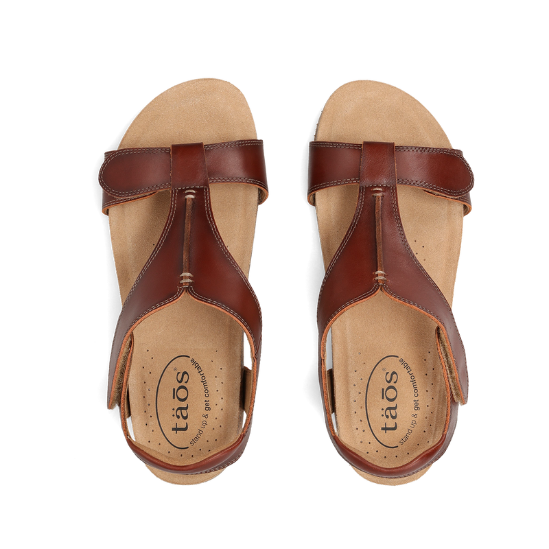 Top down image of Showtime Cognac 39