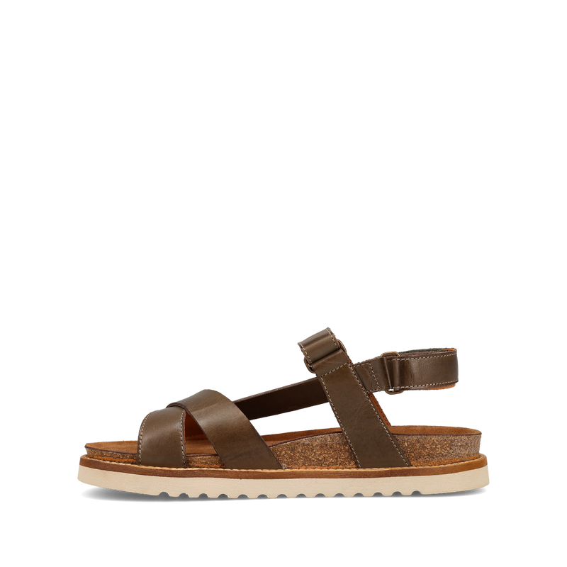 Instep Image of Sideways Olive 40
