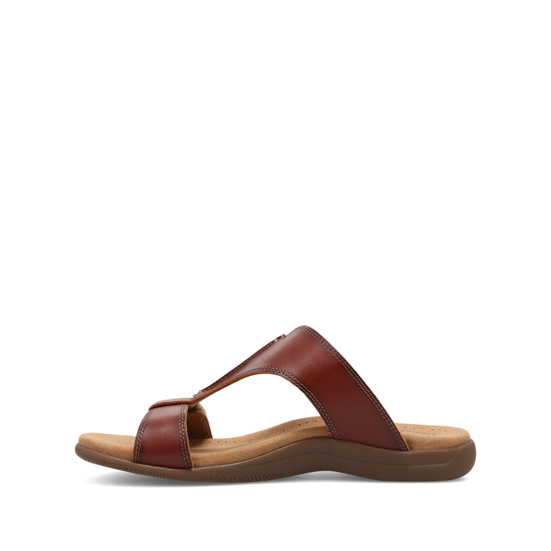 Instep Image of Slide Show Cognac 11