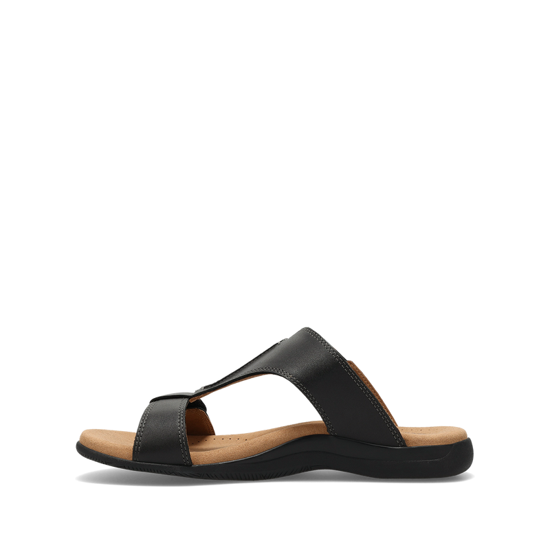 Instep Image of Slide Show Black 9