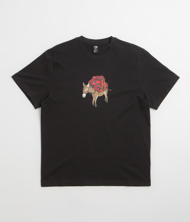 The North Face Donkey Taxi Relaxed T-Shirt in TNF Black