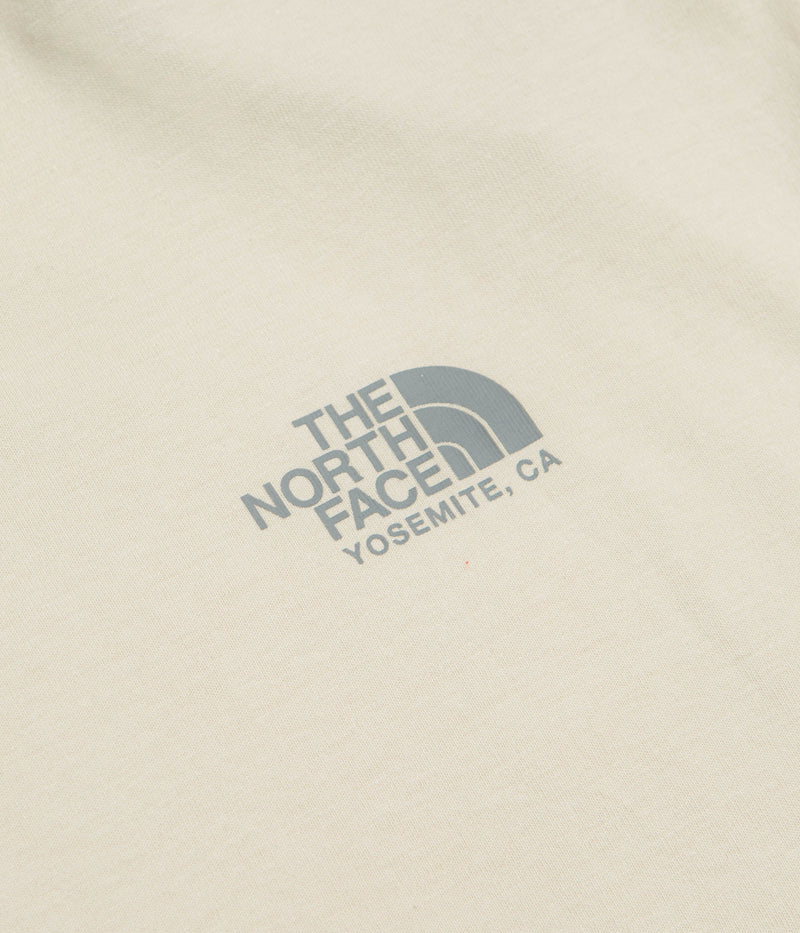 The North Face Plant And Flora Oversized T-Shirt in Desert Stone
