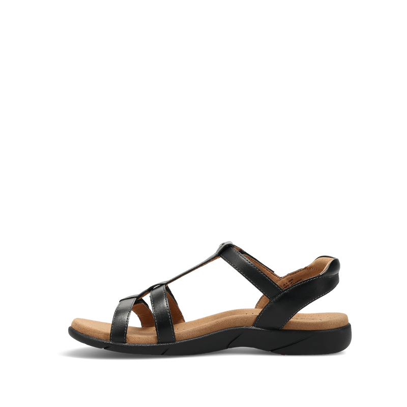 Instep image of Trophy 2 Black 6