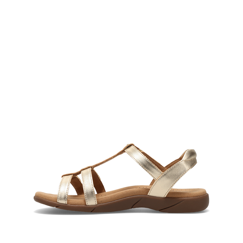Instep Image of Trophy 2 Gold 8