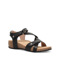 Hero image of Universe Black 36