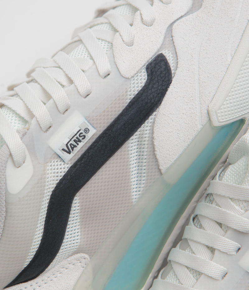 Vans Skate AVE 2.0 Shoes in Blanc and Black