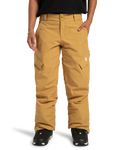 Women's Nonchalant Insulated Snow Pants - DC Shoes
