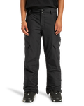 Women's Nonchalant Insulated Snow Pants - DC Shoes