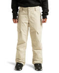 Women's Nonchalant Insulated Snow Pants - DC Shoes