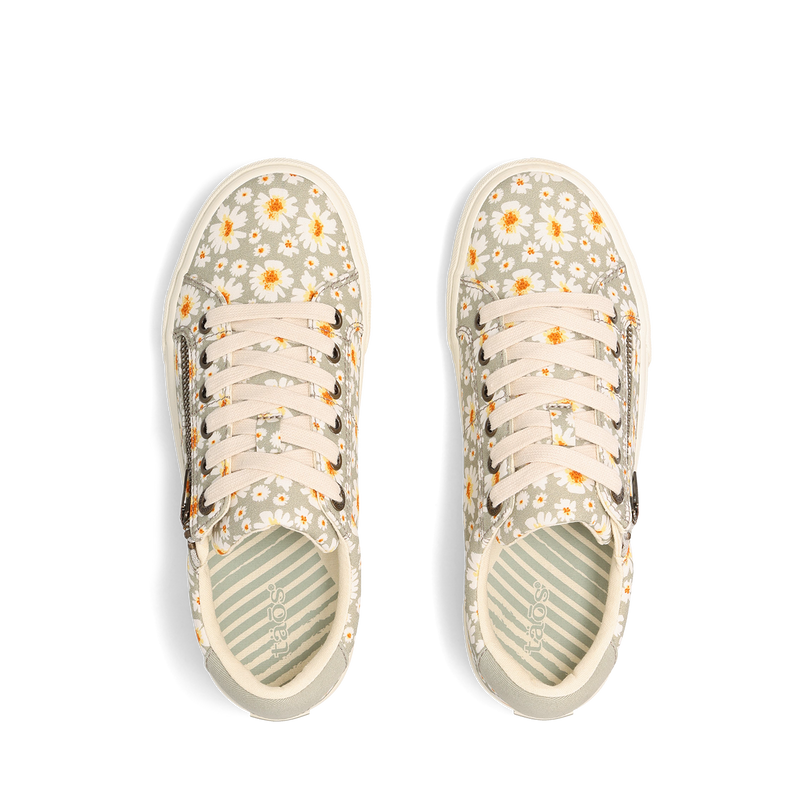 Top down Image of Z Soul Mist Daisy 6